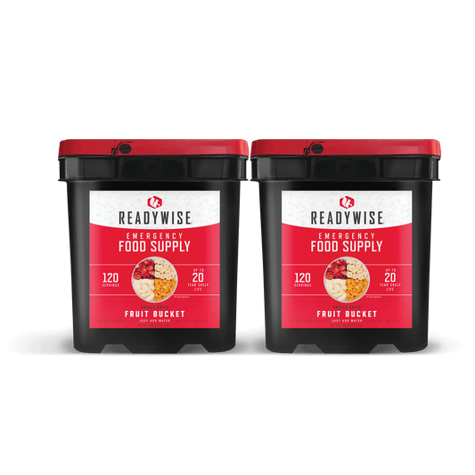 240 Serving Freeze Dried Fruit Bucket