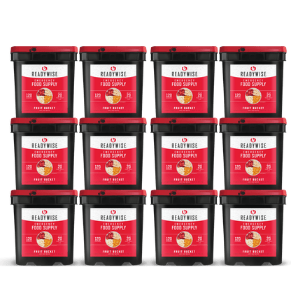 1440 Serving Freeze Dried Fruit Bucket